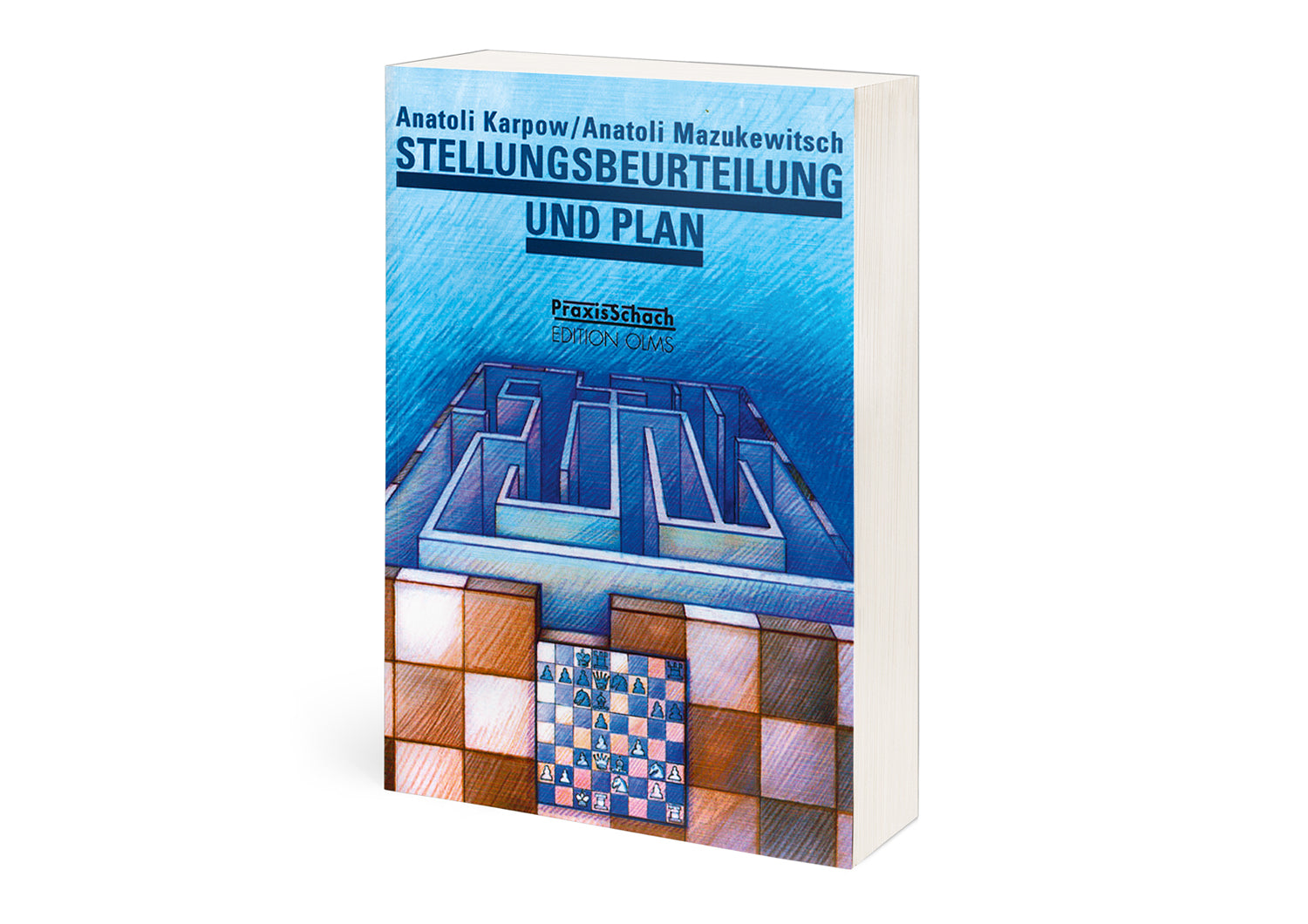 Karpow/Mazurkewitsch: Stellungsbeurteilung und Plan