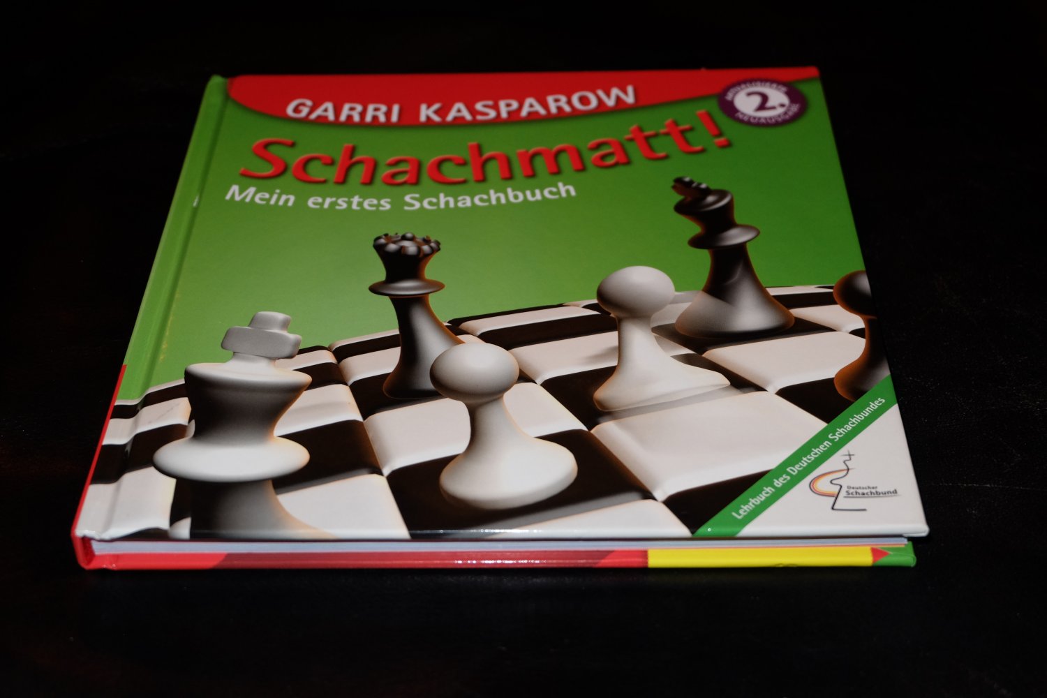 Kasparow: Schachmatt! - Mein erstes Schachbuch - 2. Ausgabe