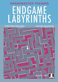 Aagaard/Nielsen,S: Endgame Labyrinths (hardcover)