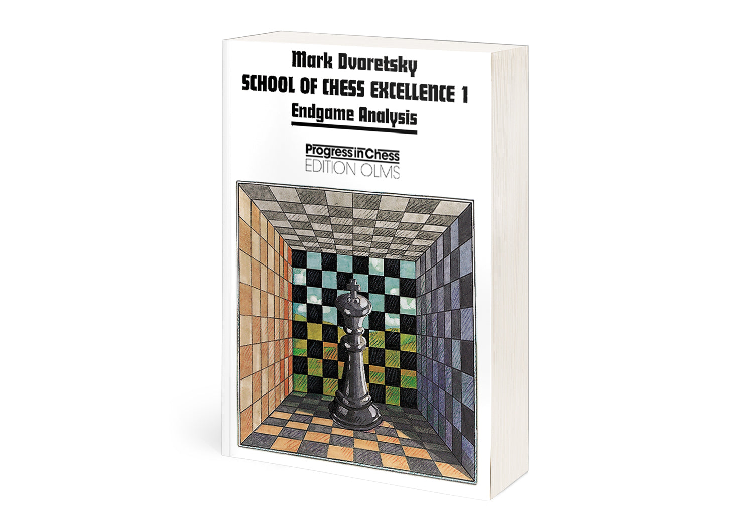 Dvoretsky: School of Chess Excelence 1 - Endgame Analysis