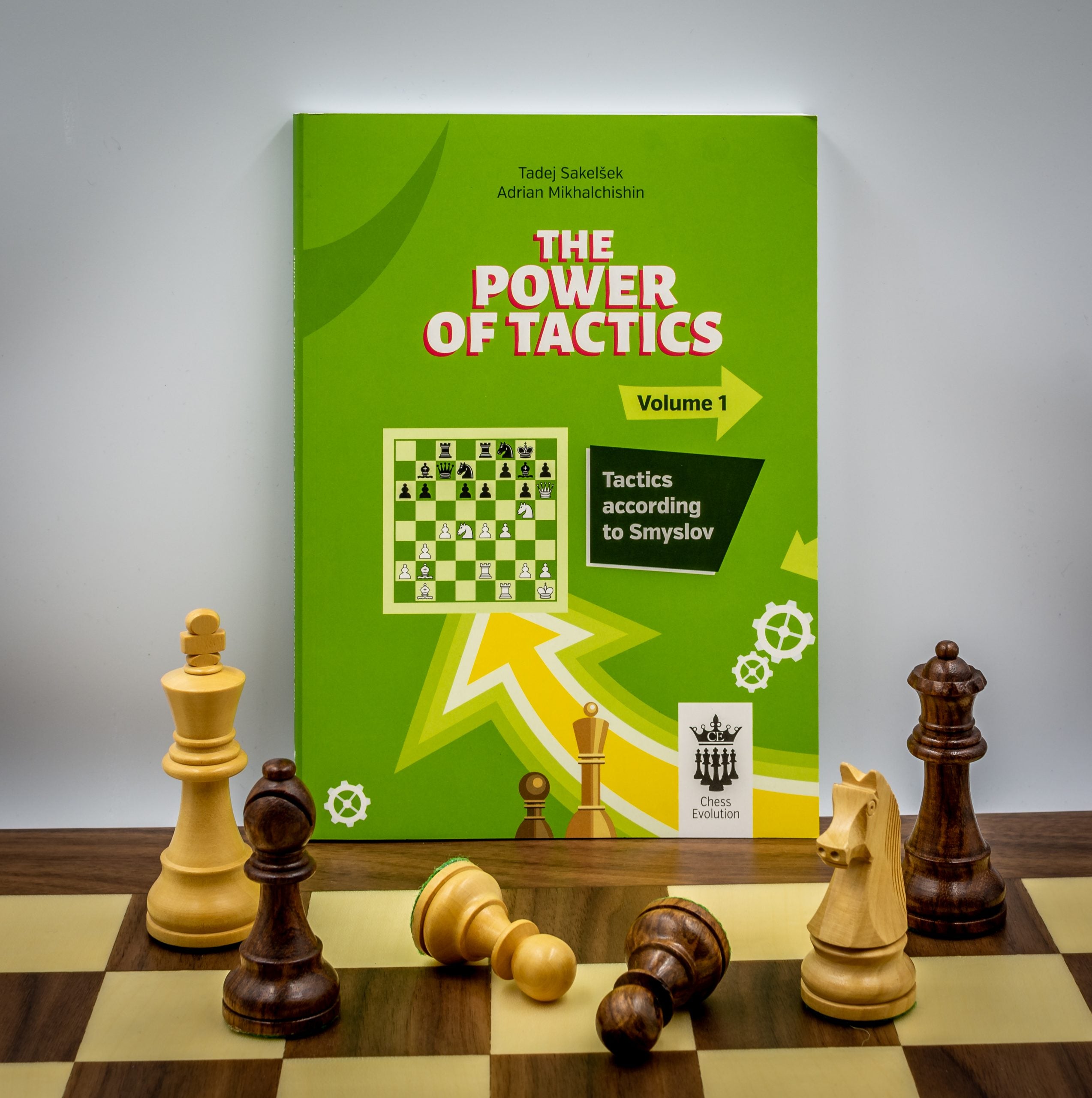 Sakelsek/Mikhalchishin: The Power of Tactics 1