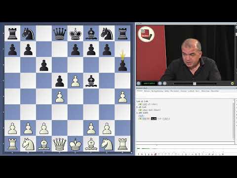 Dies ist Video des aus dem Schachkurs Understanding Middlegame Strategies Vol 10 von ChessBase