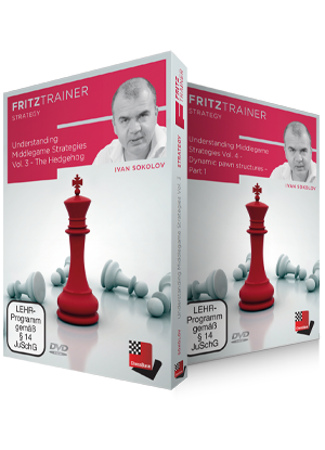 Understanding Middlegame Strategies Vol.3 und 4 - The Hedgehog/Dynamic pawn structures
